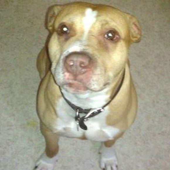 Meet your Posher, Benita - Picture 1 of 1